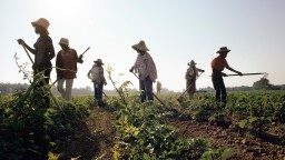 Миллиард человек оказались на грани климатической катастрофы