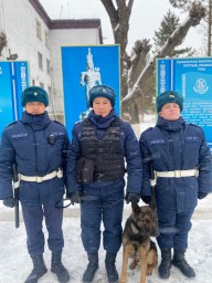 Находящегося в розыске задержали гвардейцы в Петропавловске