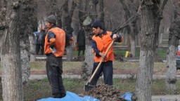 В Казахстане планируют применять принудительный труд в качестве адмнаказания