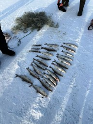 Акмолинец попался на незаконной ловле рыбы