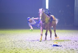 Токаеву показали шоу конных наездников Nomad Stunts