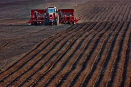Массовый сев в основных зерносеющих регионах начнется в середине мая – Минсельхоз