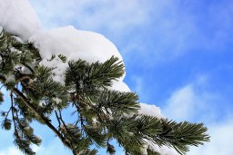 Дождь и снег прогнозируют метеорологи в Акмолинской области в пятницу