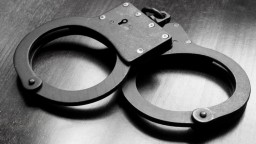 Американцу дали 4,5 года колонии за два пинка полицейскому