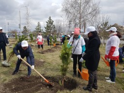 В Акмолинской области стартовала акция «90 тысяч новых деревьев»