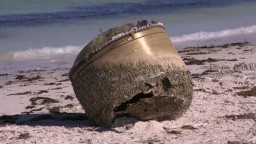 На побережье Австралии выбросило непонятный объект. Что это может быть?