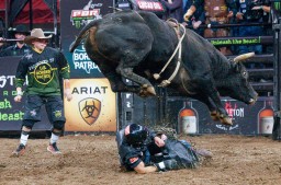 Бык убил наездника на соревнованиях в Калифорнии