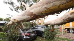 Тропический шторм «Хиллари» вызвал в Калифорнии наводнения и оползни