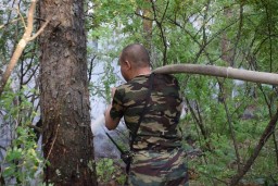 Больше 120 человек тушили лесной пожар в Акмолинской области