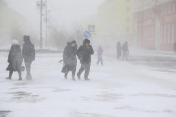 Водителей и пешеходов в Акмолинской области призвали быть внимательными на дорогах