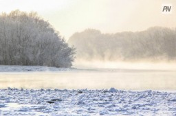 ​Сильный ветер, туман и заморозки прогнозируют синоптики 3 января