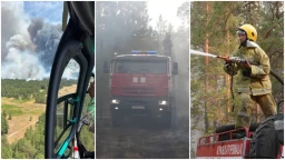 Крупный пожар в "Семей орманы": к тушению привлечены 769 человек, 191 ед. техники и 8 вертолетов Крупный пожар в "Семей орманы": к тушению привлечены 769 человек, 191 ед. техники и 8 вертолетов