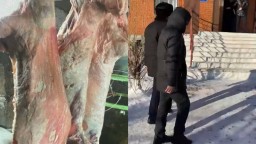 В Акмолинской области мужчина похищал скот, чтобы заработать на свадьбу