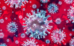 Новый штамм коронавируса «Цербер» обнаружили в Акмолинской области