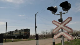 Пассажирский поезд сбил стадо скота в Акмолинской области