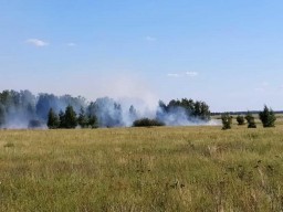 В Акмолинской области из-за удара молнии вспыхнул пожар в лесничестве