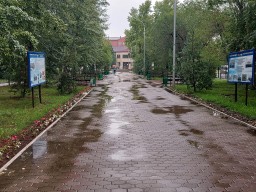 Ветер, туман и дожди обещают синоптики в Акмолинской области