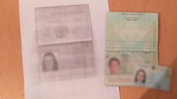 В Акмолинской области выявили россиянку с двойным гражданством