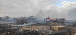 58 дачных участков сгорело в Степногорске