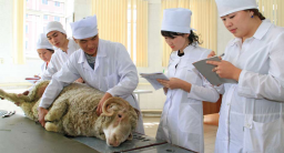 Службу ветеринарии реформируют в Казахстане