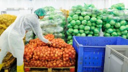 Лук репчатый больше других продуктов подорожал за год в РК – почти на 72%