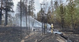 Казахстан вошел в число стран, пострадавших от интенсивных лесных пожаров