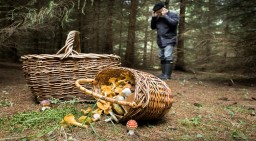 Заблудившегося в лесу грибника нашли акмолинские полицейские