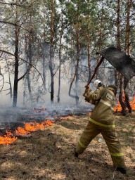 Работники лесных пожарных станций в РК будут дооснащены противопожарной одеждой