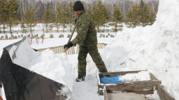 ГНПП «Бурабай» готовится к посадкам леса: закладка семян в ледники ГНПП «Бурабай» готовится к посадкам леса: закладка семян в ледники