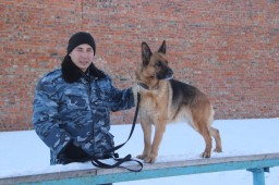 В Акмолинской области 52 служебные собаки помогают полицейским раскрывать преступления