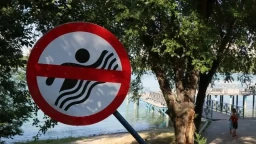 Трагическая статистика лета: в Казахстане утонули 69 детей