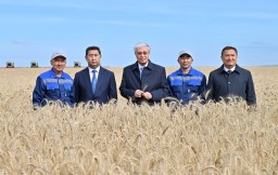 ​Мемлекет басшысы Ақмола облысындағы егін жинау науқанымен танысты