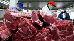 536 кг зараженного сибирской язвой мяса сожгли в Акмолинской области