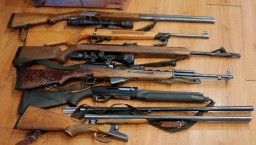​7 единиц незарегистрированного огнестрельного оружия за сутки изъяли полицейские