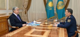 Токаев принял министра внутренних дел Марата Ахметжанова