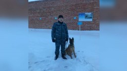 ​К дому подозреваемого в краже привела акмолинских полицейских служебная собака
