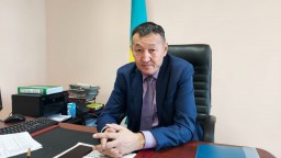 ​В Акмолинской области на решение проблемы бродячих животных выделено 96 млн тенге