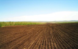 В Акмолинской области выявлено около 3 млн гектаров неиспользуемых земель
