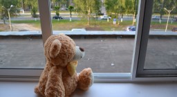 ​Пятилетний ребенок выпал из окна второго этажа в Акмолинской области