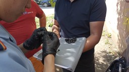 В Кокшетау поймали двух закладчиков синтетических наркотиков