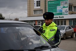 50 детских удерживающих устройств вручили полицейские водителям в Акмолинской области