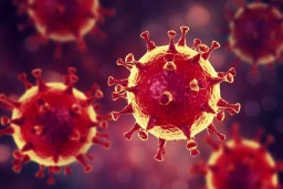 Акмолинская область вновь в «красной зоне» по коронавирусной инфекции
