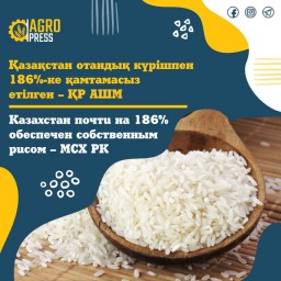 Казахстан почти на 186% обеспечен собственным рисом – МСХ РК