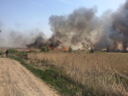 Пожар на красноярских дачах потушили акмолинские пожарные