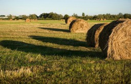 Акмолинские фермеры заявили о несправедливом распределении сельхозугодий