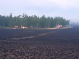 Продолжается тушение пожара возле Степногорска