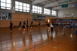 Бесплатные спортивные секции для детей начали свою работу в спорткомплексе Департамента полиции