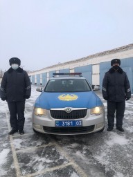 Браконьера с тушей сибирской косули поймали в Акмолинской области