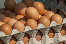 Почему подорожали яйца в Казахстане, объяснили в правительстве