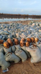 ​Человеческие кости нашли во время укрепления дамбы в Атырауской области